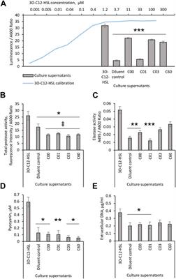 Modified N-acyl-L-homoserine lactone compounds abrogate Las-dependent quorum-sensing response in human pathogen Pseudomonas aeruginosa